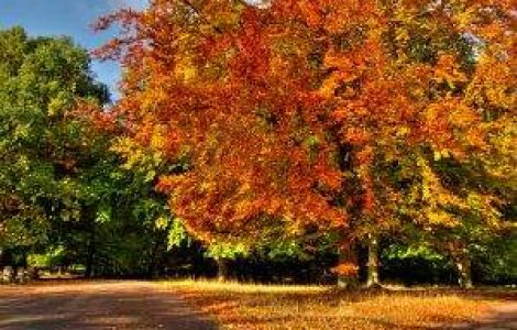 Meteo: August se incheie cu temperaturi ridicate, iar septembrie incepe cu ploi