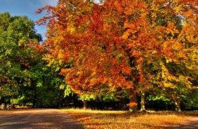 Meteo: August se incheie cu temperaturi ridicate, iar septembrie incepe cu ploi