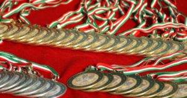 Guvernul promite recompensarea medaliatilor la Jocurile Paralimpice