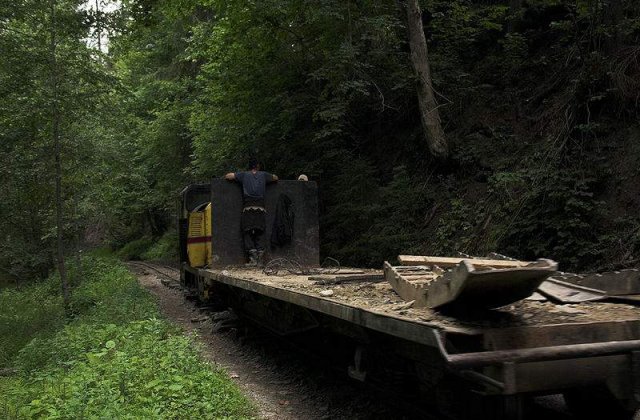 Romania ramane fara paduri: Ritmul defrisarilor il depaseste pe cel din tarile africane