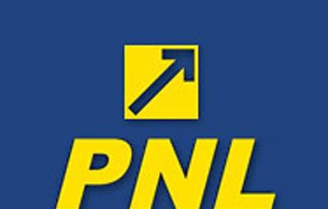 Honorius Prigoana, fiul deputatului PDL Silviu Prigoana, s-a inscris in PNL