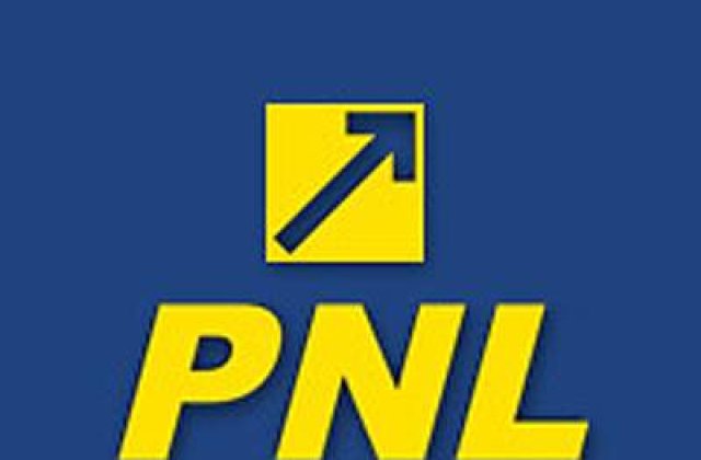 Honorius Prigoana, fiul deputatului PDL Silviu Prigoana, s-a inscris in PNL