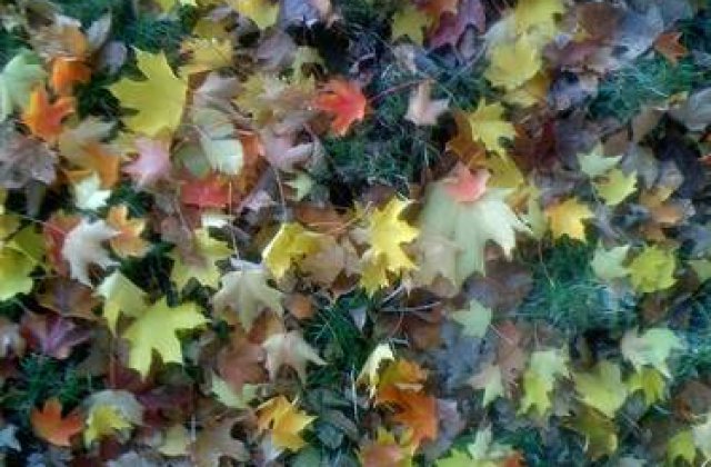 Cele mai frumoase zece destinatii pentru vacanta de toamna