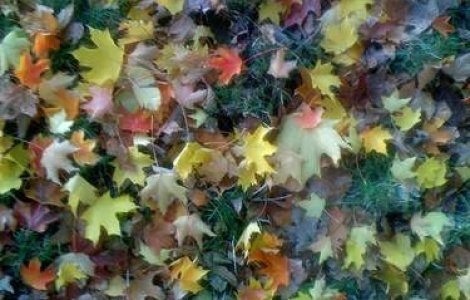  Top  Cele mai frumoase zece destinatii pentru vacanta de toamna