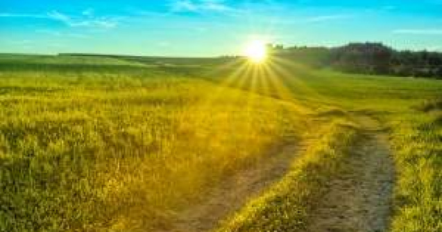 Meteo: Cum va fi vremea in weekend?