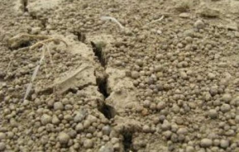 Un mort si un ranit, in urma cutremurului de 7,9 grade din Filipine