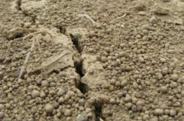 Un mort si un ranit, in urma cutremurului de 7,9 grade din Filipine