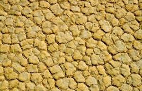 Ponta: Romania, tara cea mai afectata de seceta din Europa