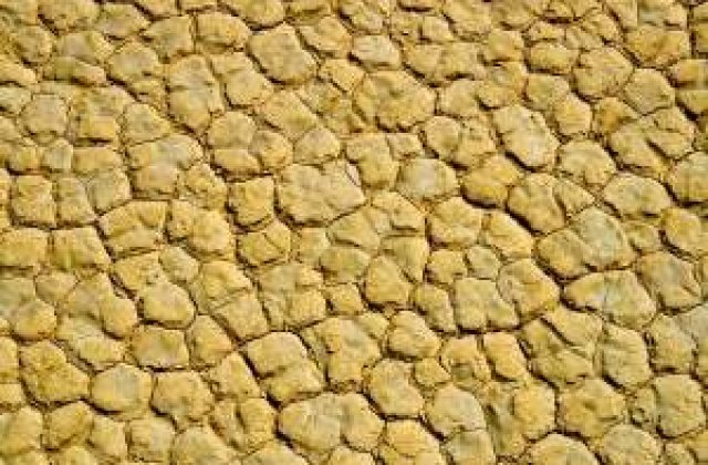 Ponta: Romania, tara cea mai afectata de seceta din Europa