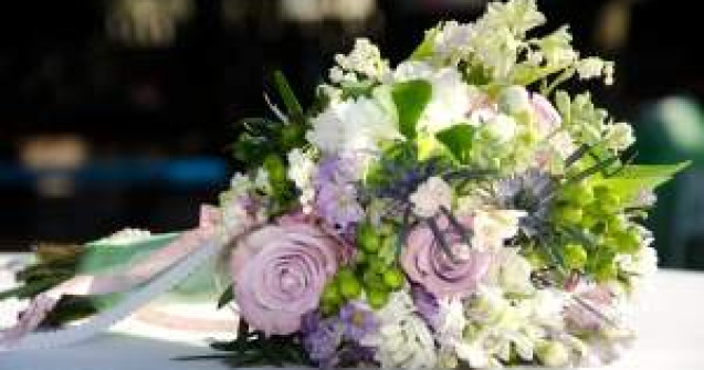 Cum s-au simtit membrii PDL la nunta Elenei Basescu?