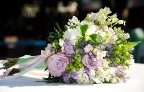 Cum s-au simtit membrii PDL la nunta Elenei Basescu?