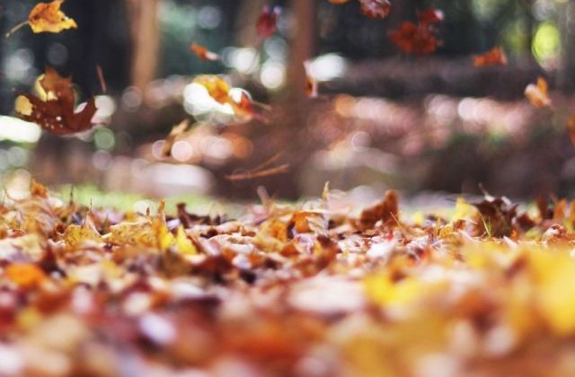 Prognoza meteo: Temperaturi medii diurne intre 11 si 26 de grade, saptamana viitoare