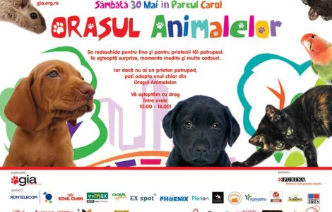 Scoate-ti patrupedul in 'Orasul Animalelor'!