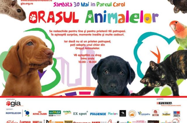 Scoate-ti patrupedul in 'Orasul Animalelor'!