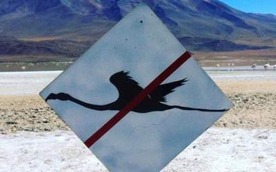 10 momente cand oamenii au...