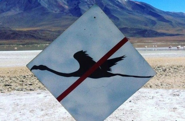 10 momente cand oamenii au gasit obiecte ciudate si au apelat la internet pentru a afla ce semnifica