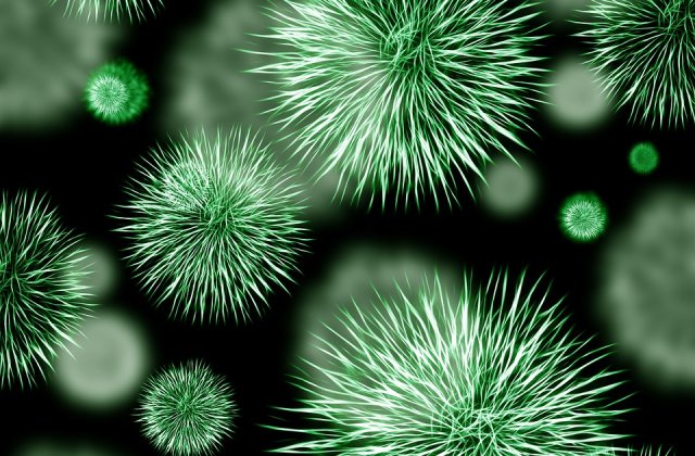 Bacteriile se pot `deghiza` pentru a evita sa fie detectate de antibiotice