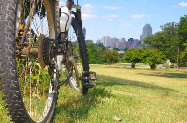Bucurestenii ar putea avea voie sa stea pe iarba si se plimbe cu rolele si bicicletele in parcuri