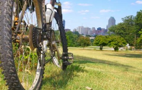 Bucurestenii ar putea avea voie sa stea pe iarba si se plimbe cu rolele si bicicletele in parcuri