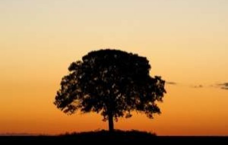 Spania: Cel mai longeviv barbat din Europa a murit la varsta de 111 ani