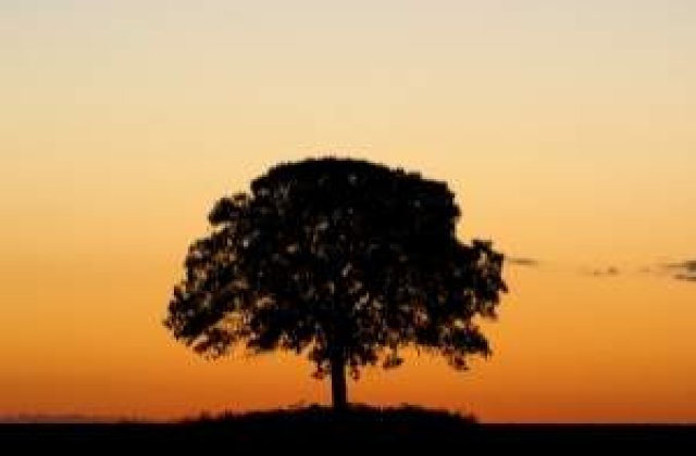 Spania: Cel mai longeviv barbat din Europa a murit la varsta de 111 ani