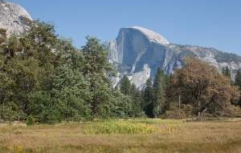 Hantavirus: Boala fara leac care terorizeaza in prezent SUA