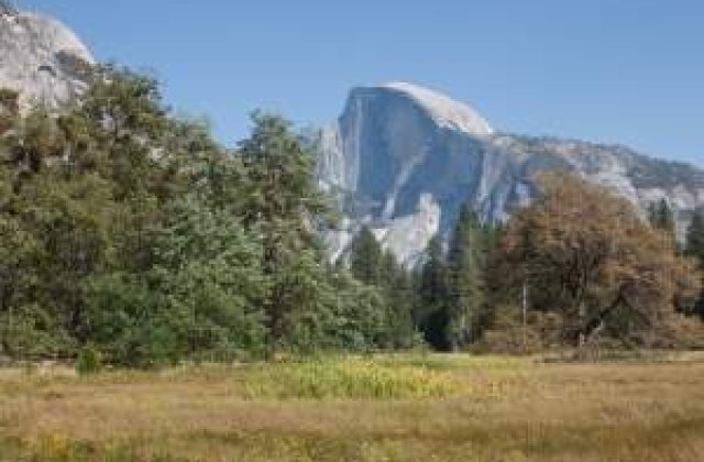 Hantavirus: Boala fara leac care terorizeaza in prezent SUA