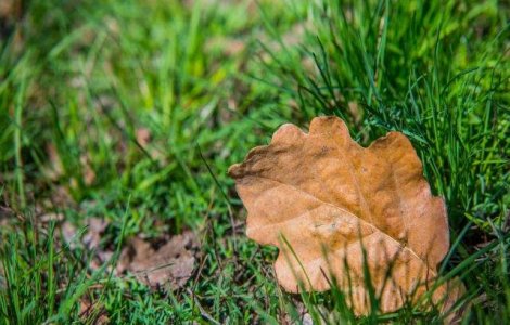 Prognoza pentru urmatoarele doua saptamani: temperaturi oscilante si ploi in fiecare zi