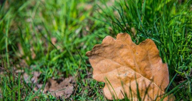 Prognoza pentru urmatoarele doua saptamani: temperaturi oscilante si ploi in fiecare zi