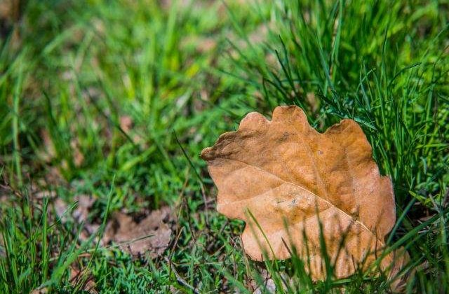 Prognoza pentru urmatoarele doua saptamani: temperaturi oscilante si ploi in fiecare zi