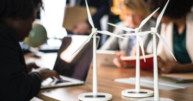 Patru pasi la indemana oricui pentru a deveni mai prietenos cu mediul