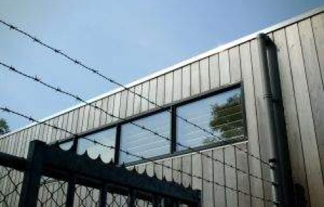 PE cere redeschiderea investigatiilor cu privire la inchisorile CIA