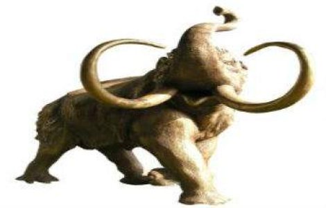 Se intorc mamutii: S-au descoperit celulele cu ajutorul carora vor fi clonati