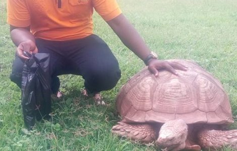 Cea mai batrana broasca testoasa din Africa a murit la 344 de ani