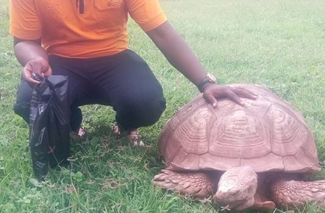 Cea mai batrana broasca testoasa din Africa a murit la 344 de ani