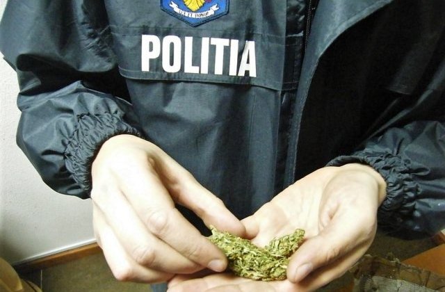 Un sarb a fost prins la Vama Giurgiu cu 750 kg de canabis