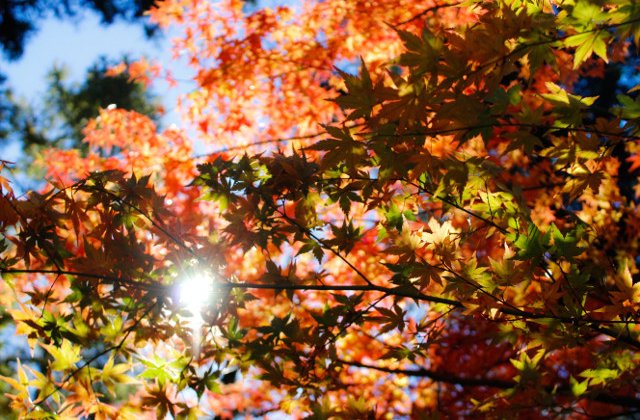 Se incalzeste vremea in urmatoarele doua saptamani. Temperaturi de pana la 25 de grade