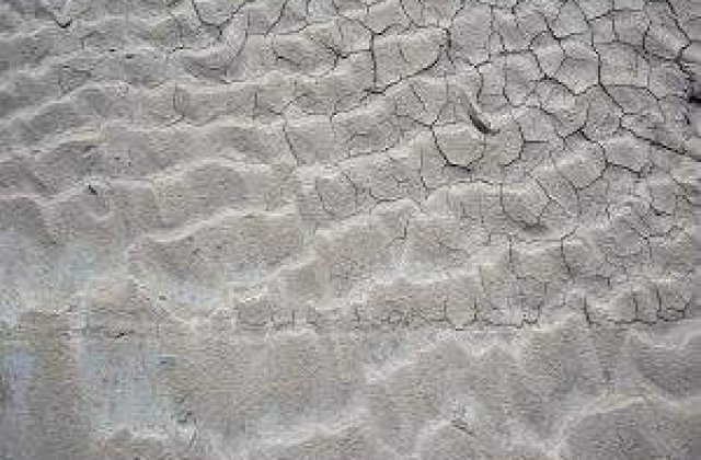 BCR: Seceta a produs pagube de 800 milioane de euro in agricultura