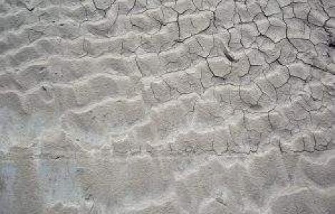 BCR: Seceta a produs pagube de 800 milioane de euro in agricultura