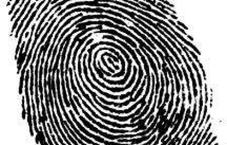 Dusa, despre sistemele de comparare a datelor: Nu aveau asigurata mentenanta