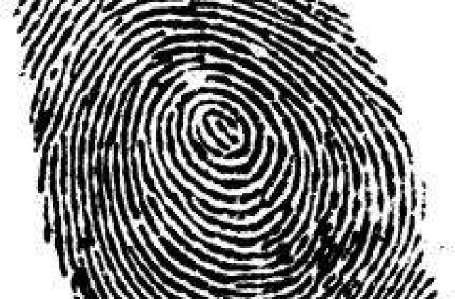 Dusa, despre sistemele de comparare a datelor: Nu aveau asigurata mentenanta