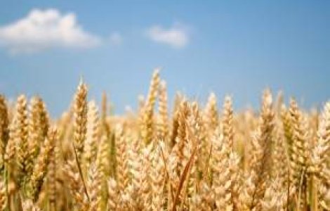 A venit randul agricultorilor sa protesteze