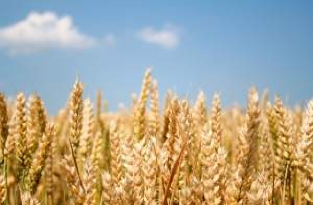 A venit randul agricultorilor sa protesteze