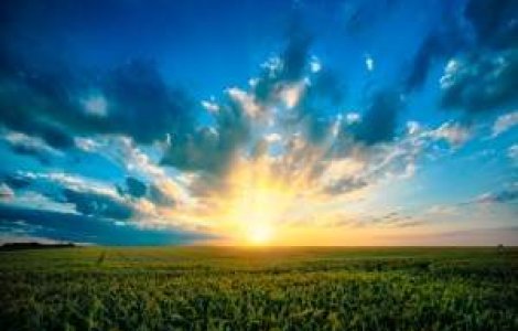 Guvernul solicita CE extinderea suprafetei agricole pentru care primeste bani