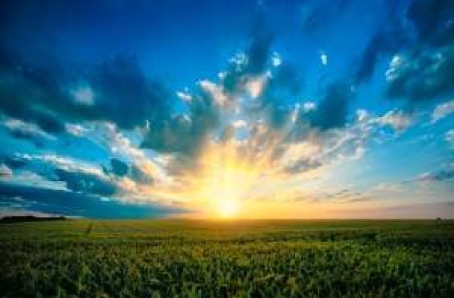 Guvernul solicita CE extinderea suprafetei agricole pentru care primeste bani