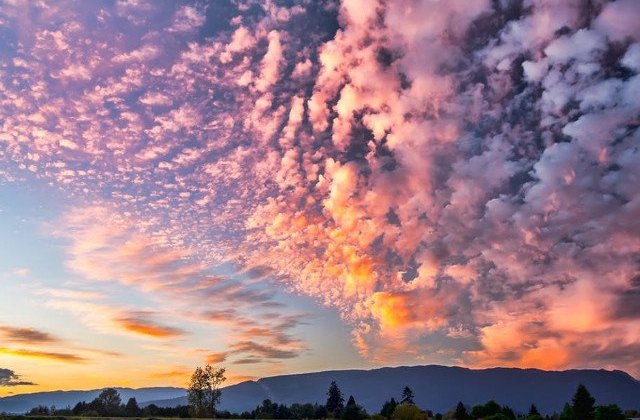 Temperaturi de 25-26 de grade, sambata si duminica, dar si la inceputul saptamanii viitoare