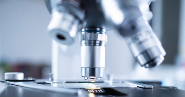 O bacterie intalnita in sistemul digestiv uman poate sa transfere rezistenta la antibiotice catre alte bacterii