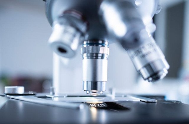 O bacterie intalnita in sistemul digestiv uman poate sa transfere rezistenta la antibiotice catre alte bacterii