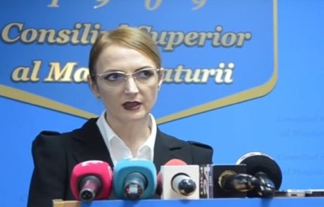 Lia Savonea: Am decis sa sesizez CCR cu un conflict juridic de natura constitutionala fata de actiunile Anei Birchall