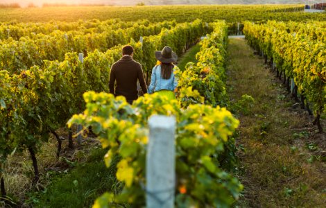  Top  5 destinatii mai putin cunoscute pe care orice iubitor de vin ar trebui sa le bifeze